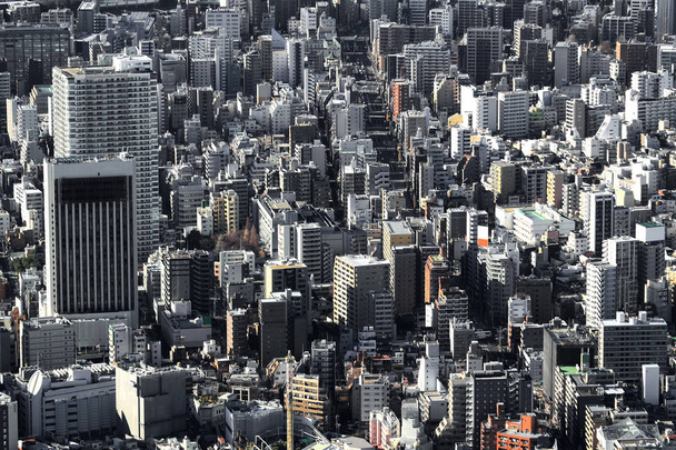 A residential area in Tokyo seen from the air - Photo, Image
