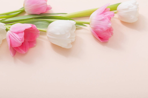 pink and white tulips on paper background - Fotoğraf, Görsel