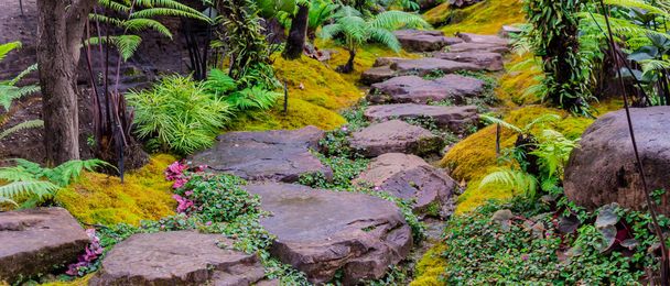 パノラマ石の階段と緑の苔雨の後日本の居心地の良い家花の庭の装飾. - 写真・画像