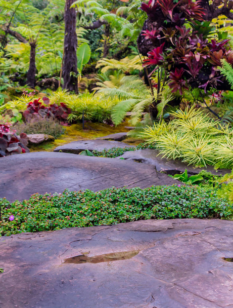 Stone steps and green moss decoration in japanese cozy home flower garden after rain. - Photo, Image