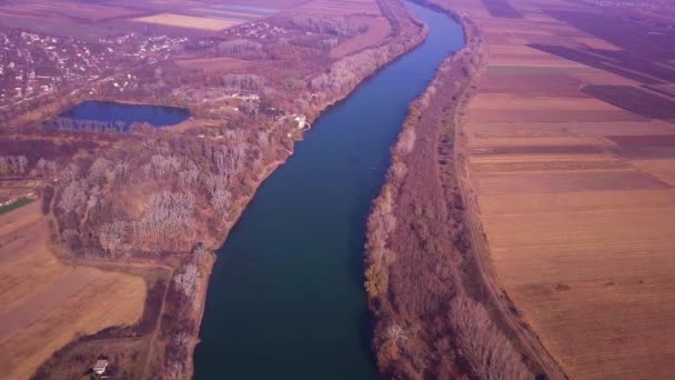 Hidas lennokki sinisellä joella ja maatalousmailla. Dniester joki, Moldovan tasavalta. 4K lintujen silmä näkymä
 - Materiaali, video