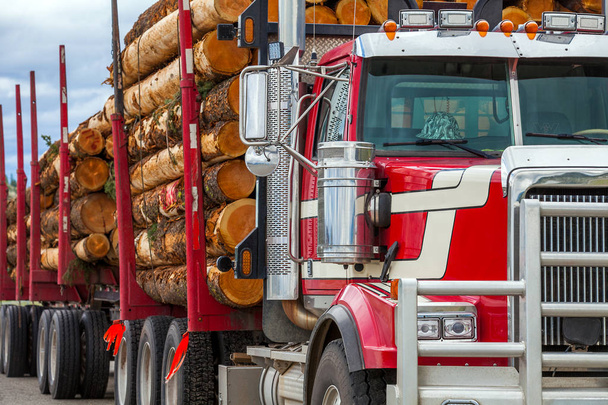Heavy loaded timber transport truck in British Columbia Canada - Photo, Image