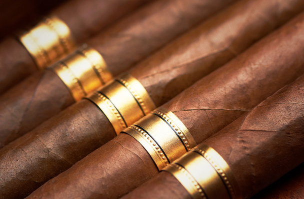 Close up of cigars - Foto, imagen