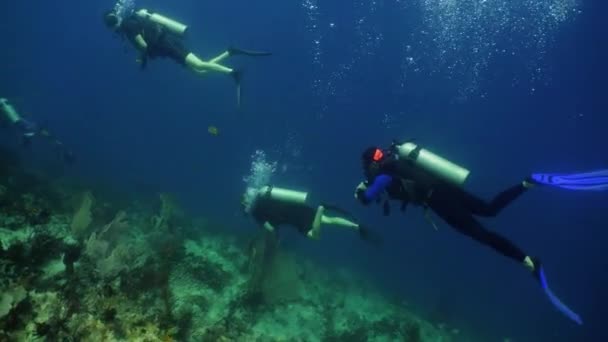duikers onder water. - Video