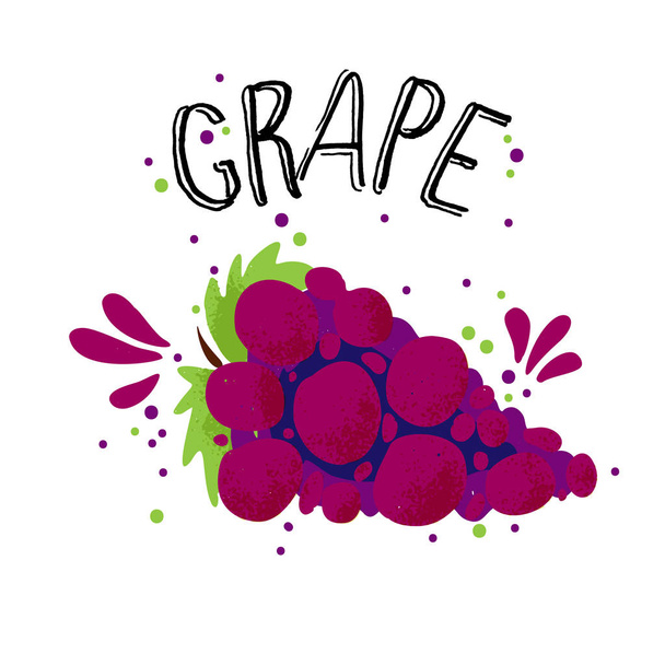 Vector hand draw red grape illustration. Blue grapes with juice splash isolated on white background. Textured grape with splashes, juice tropical fruit with word Grapes on top. Fresh textured - Vector, imagen