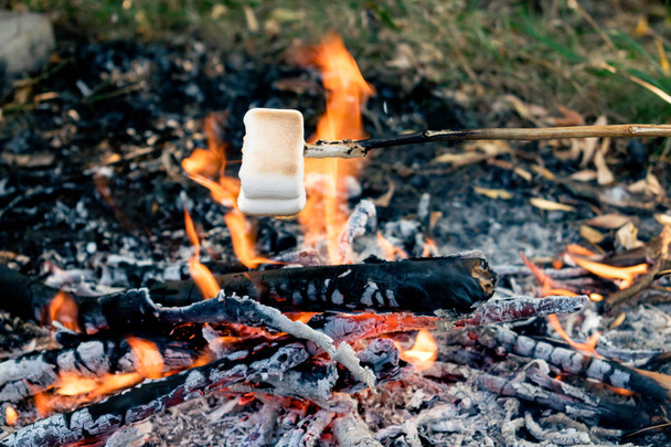 Delicious and sweet marshmallows on stick over the bonfire. roasting toasted marshmallows over a campfire with hot coals and orange flames.  Smores Recipe, scout camps - Foto, immagini