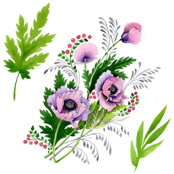 Amapolas rosadas y púrpuras aisladas en blanco. Acuarela fondo ilustración conjunto
.  - Foto, imagen