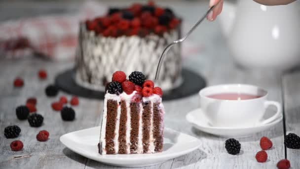 Rouleau vertical rustique haut gâteau avec chocolat, crème vanille et baies
. - Séquence, vidéo