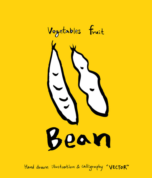 Hand drawn food ingredients - vegetable and fruit illustrations - vector - Vetor, Imagem