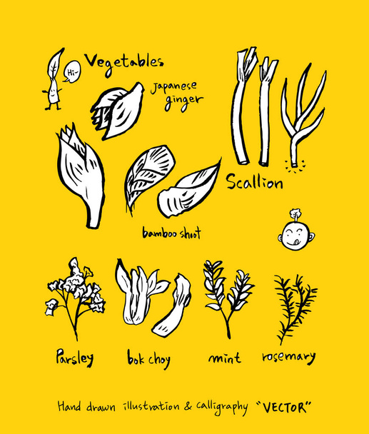 Ingredientes alimentarios extraídos a mano - ilustraciones vegetales y frutales - vector
 - Vector, imagen