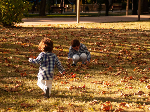 Kaksi veljeä leikkii puiden lehdillä kaatuneina puistossa syksyllä.
 - Valokuva, kuva