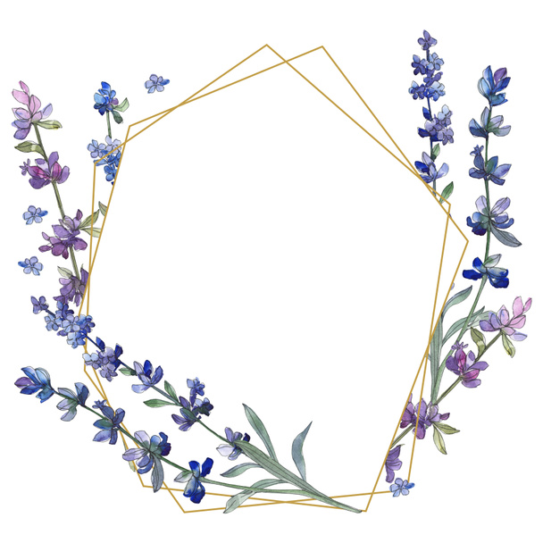 Purple lavender. Floral botanical flower. Wild spring leaf wildflower isolated. Watercolor background illustration set. Watercolour drawing fashion aquarelle isolated. Frame border ornament square. - Foto, Imagen