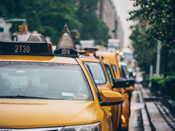 Keltaisten taksien rivi New Yorkissa
 - Valokuva, kuva