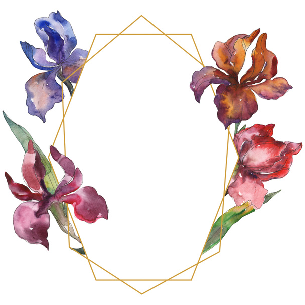 Purplr ahd red irises floral botanical flower. Wild spring leaf wildflower. Watercolor background illustration set. Watercolour drawing fashion aquarelle isolated. Frame border ornament square. - Photo, Image