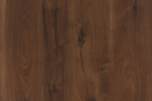 άγρια βελανιδιά ξυλεία ξυλεία ξύλο ταπετσαρία δομή υφή φόντου σκηνικό - Φωτογραφία, εικόνα