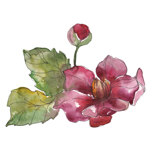Red peonies isolated on white watercolor background illustration set.  - Photo, Image