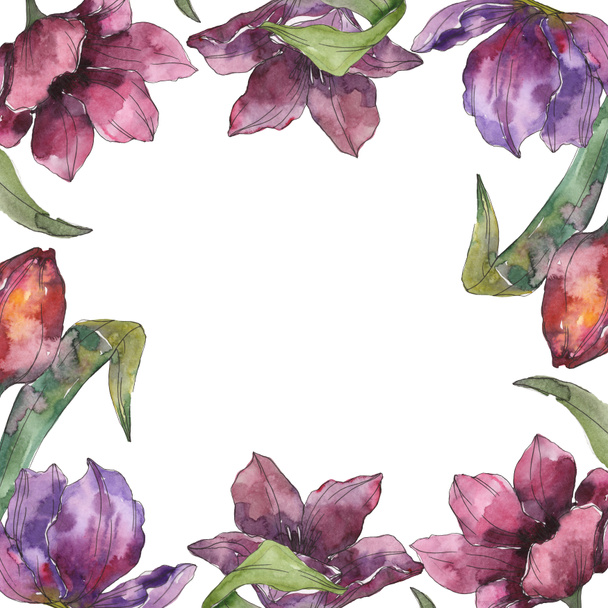 Purple tulip floral botanical flowers. Wild spring leaf wildflower isolated. Watercolor background illustration set. Watercolour drawing fashion aquarelle isolated. Frame border ornament square. - Foto, afbeelding