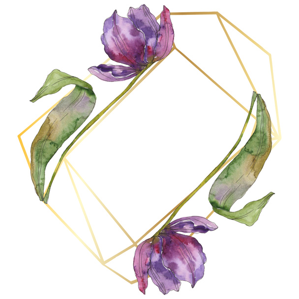 Purple tulip floral botanical flowers. Wild spring leaf wildflower isolated. Watercolor background illustration set. Watercolour drawing fashion aquarelle isolated. Frame border ornament square. - Zdjęcie, obraz