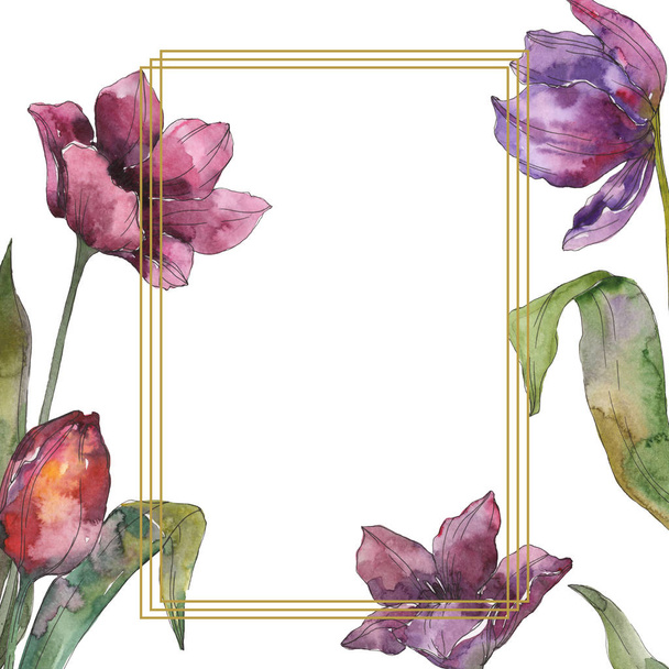 Lila tulipán virág botanikai virág. Vad tavaszi levél vadvirág elszigetelt. Akvarell háttér illusztráció készlet. Akvarell rajz divat aquarelle elszigetelt. Test határ Dísz tér. - Fotó, kép
