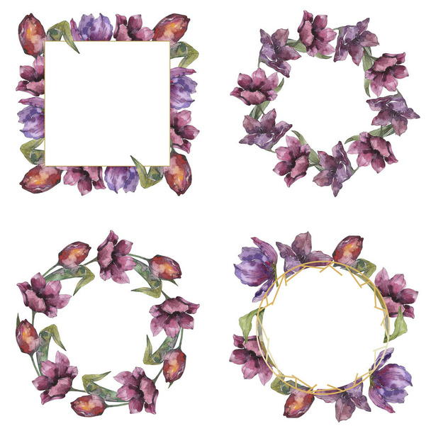 Purple tulip floral botanical flowers. Wild spring leaf wildflower isolated. Watercolor background illustration set. Watercolour drawing fashion aquarelle isolated. Frame border ornament square. - 写真・画像