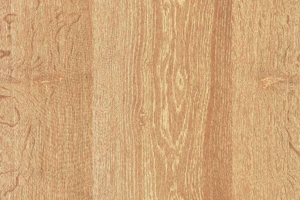 light brown tree wooden surface texture background pattern - Φωτογραφία, εικόνα