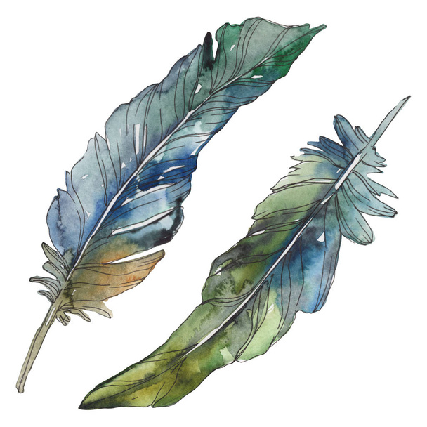 Bird feather from wing isolated. Watercolor background illustration set. Watercolour drawing fashion aquarelle isolated. Isolated feathers illustration element. - Foto, imagen