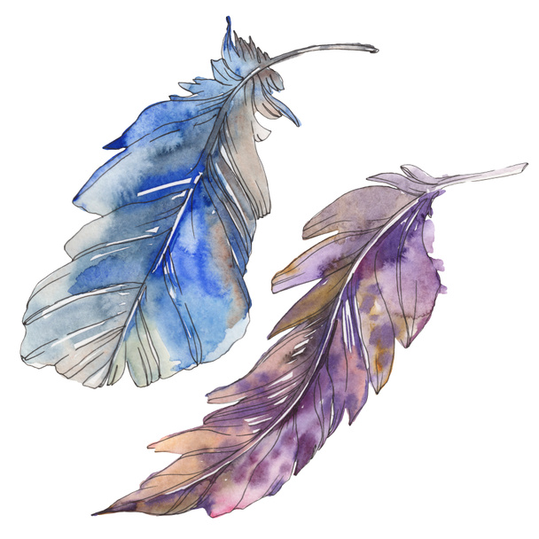 分離された翼から鳥の羽 水彩画背景イラスト セット 水彩描画のファッション Aquarelle 分離します 孤立した羽の図要素 ロイヤリティフリー 写真 画像素材