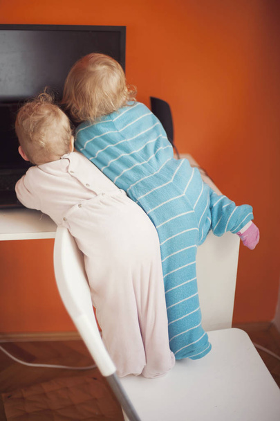 Cute toddlers girls using chair to reach computer monitor. - Photo, Image