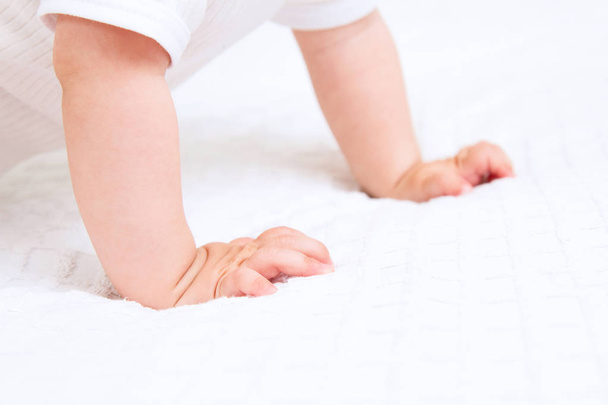 Hands of crawling baby on white background - Fotografie, Obrázek
