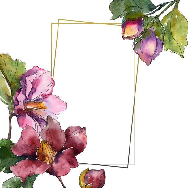 Red and purple camellia flowers. Watercolor background illustration set. Frame border ornament with copy space. - Fotoğraf, Görsel