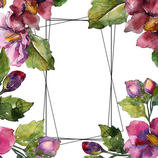Camellia rode en paarse bloemen. Aquarel achtergrond afbeelding instellen. Frame grens sieraad met kopie ruimte. - Foto, afbeelding