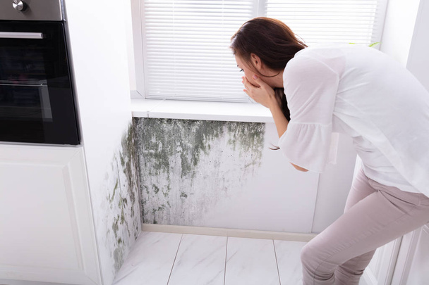 Side View Of A Young Woman Looking At Mold On Wall - Foto, imagen