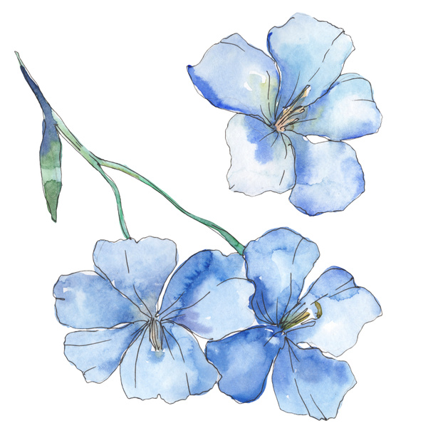 Blue purple flax. Floral botanical flower. Wild spring leaf wildflower isolated. Watercolor background illustration set. Watercolour drawing fashion aquarelle. Isolated flax illustration element. - Zdjęcie, obraz