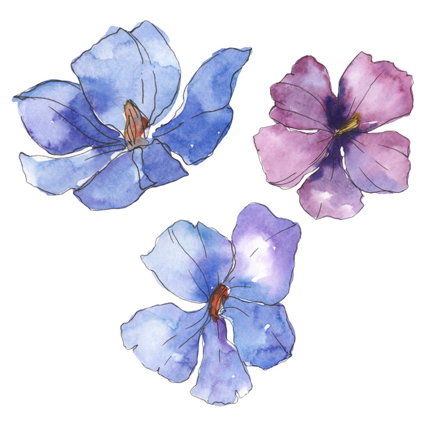 Blue purple flax. Floral botanical flower. Wild spring leaf wildflower isolated. Watercolor background illustration set. Watercolour drawing fashion aquarelle. Isolated flax illustration element. - Fotoğraf, Görsel