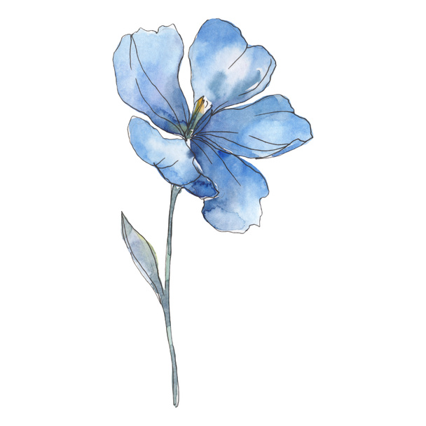 Blue purple flax. Floral botanical flower. Wild spring leaf wildflower isolated. Watercolor background illustration set. Watercolour drawing fashion aquarelle. Isolated flax illustration element. - Photo, Image
