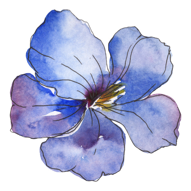 Blue purple flax. Floral botanical flower. Wild spring leaf wildflower isolated. Watercolor background illustration set. Watercolour drawing fashion aquarelle. Isolated flax illustration element. - Φωτογραφία, εικόνα
