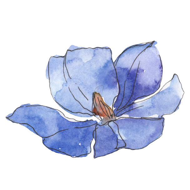 Kék, lila len. Virágos botanikai virág. Vad tavaszi levél vadvirág elszigetelt. Akvarell háttér illusztráció készlet. Akvarell rajz divat aquarelle. Elszigetelt len ábra elem. - Fotó, kép