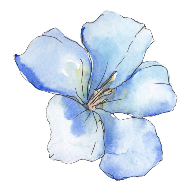 Blue purple flax. Floral botanical flower. Wild spring leaf wildflower isolated. Watercolor background illustration set. Watercolour drawing fashion aquarelle. Isolated flax illustration element. - Foto, Imagen
