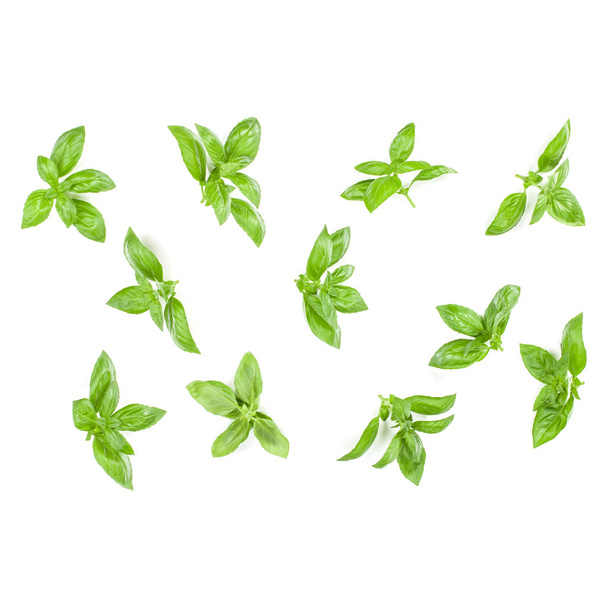 Sweet Genovese basil leaves background arrangement isolated on white. Top view. - Photo, Image