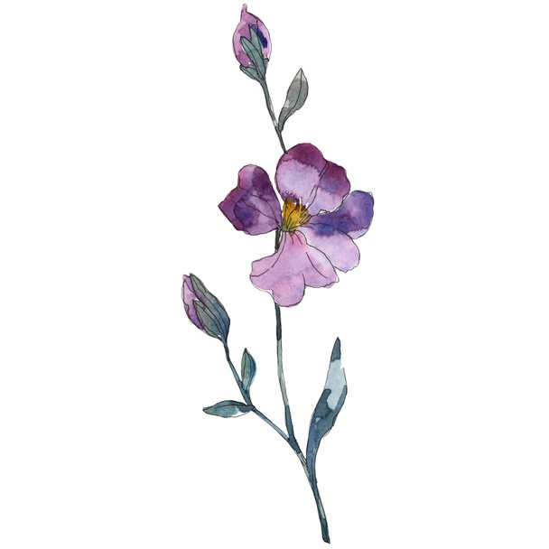 Blue purple flax floral botanical flower. Wild spring leaf wildflower isolated. Watercolor background illustration set. Watercolour drawing fashion aquarelle. Isolated flax illustration element. - Φωτογραφία, εικόνα