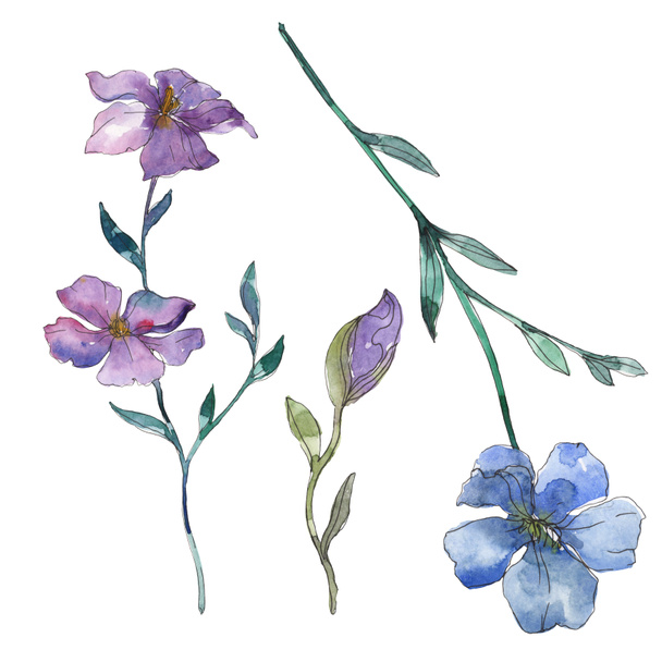 Blue and purple flax floral botanical flower. Wild spring leaf wildflower isolated. Watercolor background illustration set. Watercolour drawing fashion aquarelle. Isolated flax illustration element. - Фото, зображення