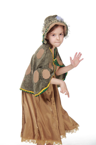 Charming little girl in a beautiful fancy dress - Foto, Imagem