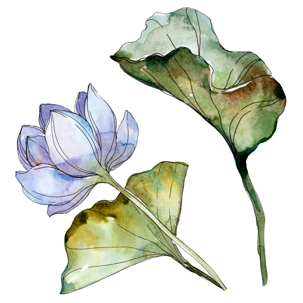 Blue and purple lotus flower with green leaf. Watercolor isolated illustration elements. - Fotografie, Obrázek