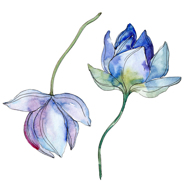 Blue and purple lotuses. Watercolor background illustration set. Isolated lotuses illustration elements. - Foto, afbeelding