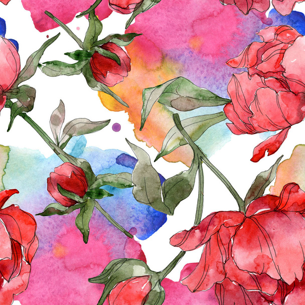 Red Peonies Watercolor Illustration Set. Seamless Background Free Stock  Photo and Image