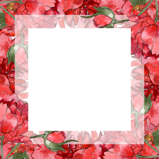 Red peonies watercolor background illustration set isolated on white. Frame border ornament. - Photo, image