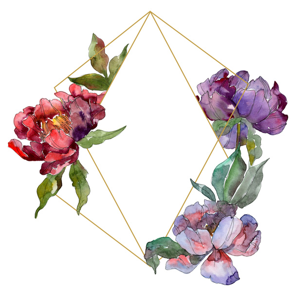 Red and purple peonies. Watercolor background illustration set. Frame border ornament with copy space. - 写真・画像
