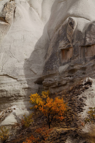 De vallei van de liefde in het dorp van Goreme, Turkije. Landelijke landschap van Cappadocië. - Foto, afbeelding