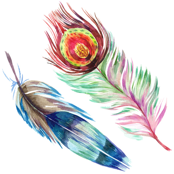 Colorful bird feather from wing isolated. Aquarelle feather for background. Watercolor illustration set. Watercolour drawing fashion aquarelle isolated. Isolated feather illustration element. - Фото, зображення