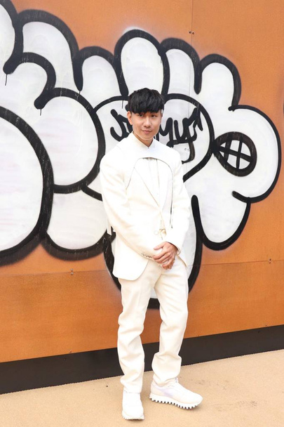 Сінгапурська співачка Jj Lin відвідує Louis Vuitton чоловічого одягу осінь/зима 2019-2020 показати в рамках Паризького тижня моди в Парижі, 17 січня 2019. - Фото, зображення